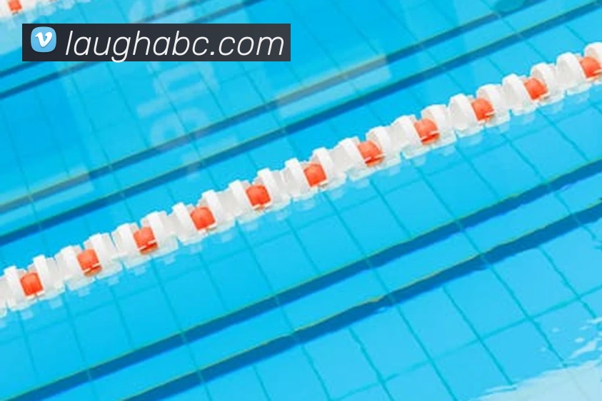 九游官网服务体系